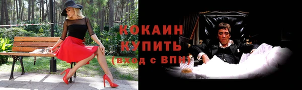 ГАЛЛЮЦИНОГЕННЫЕ ГРИБЫ Балахна