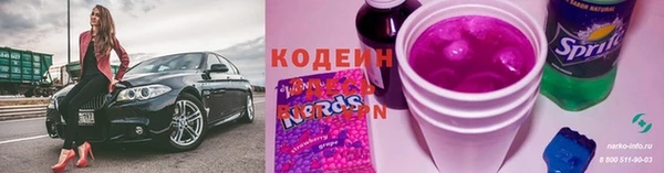 ГАЛЛЮЦИНОГЕННЫЕ ГРИБЫ Балахна