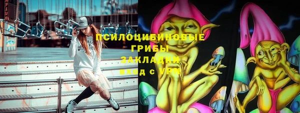 ГАЛЛЮЦИНОГЕННЫЕ ГРИБЫ Балахна