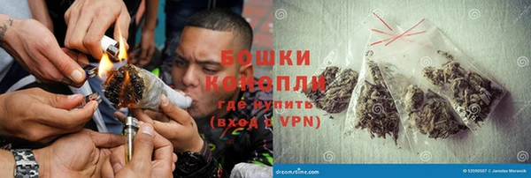 трава Белокуриха