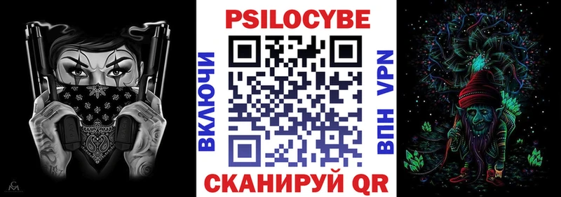 Купить где  Дюртюли  Псилоцибиновые грибы Psilocybe 